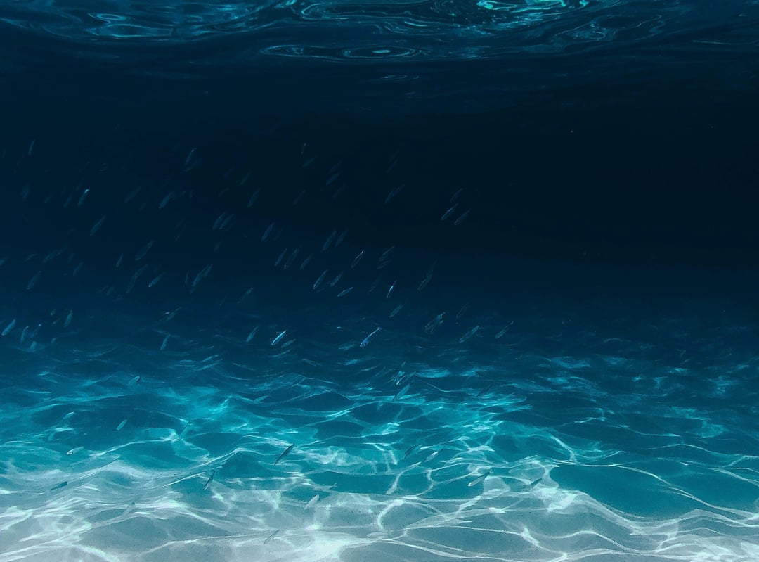 deep sea image 3 3 email edit